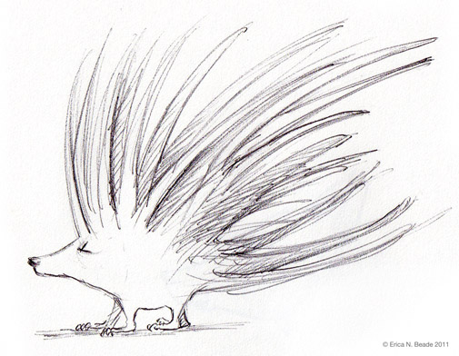 Cartoon Sketch of a Porcupine